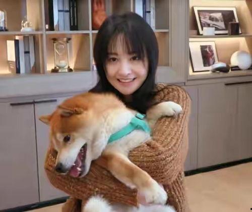 张恒爆料狗狗视频大全,狗狗视频大全，萌宠瞬间集结  第3张