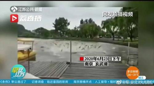 水上公园爆料视频播放网站,热门爆料视频网站带你畅游水上乐园精彩瞬间  第3张