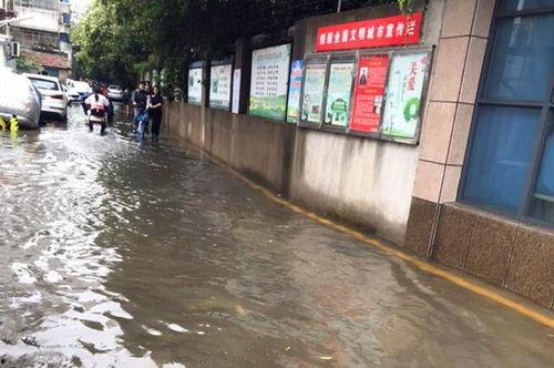 解放路学校爆料视频最新,揭秘校园内幕，引发社会关注